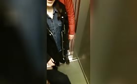 French elevator dick sucking